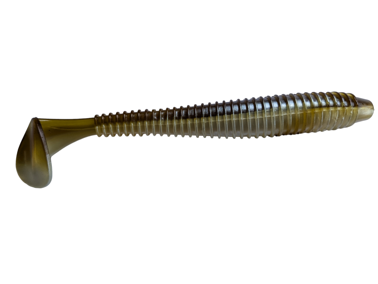 Bait fish