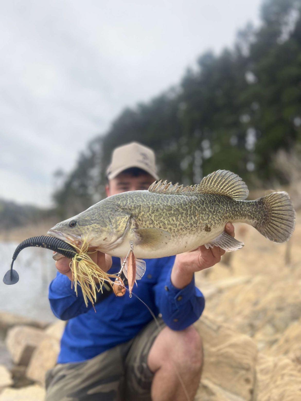 1 oz Spinnerbait Rigged 7'' black flake